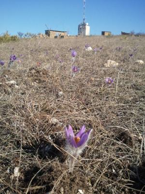 Прикрепленное изображение: 2015-03-10 15.34.38.jpg